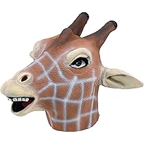 81+CKAgF4fL._AC_UL210_SR210,